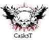Ca5k3T Skull Banner