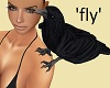 Flying Crow Pet