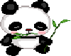 *J* Panda
