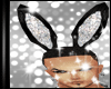 Fx? Sexy Bunny Ears