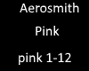 Aerosmith pink