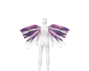 lil wispy wings - joyful