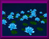 Water Lillies *blue*
