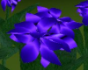 Wildflowers Blue