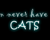 [IT] Never Enough Cats