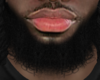 Asteri Beard #031