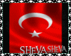 Sheva*Turkiye Bayrak