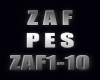 PES  (ZAF) SONG