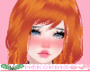 Angelica Ginger