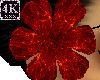 4K Red Flower Right