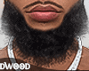 ASTERI PERFECT BEARD