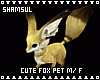 Cute Fox Pet M/F