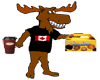 moose and tim hortons