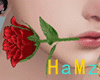 HM:Rose in Mouth Male