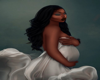 Mocha Maternity Canvas