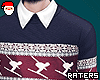 🎅 Winter Sweater.