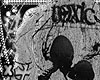 X. jacket toxic