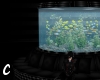 {Cru} PVC fishtank sofas