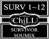 Survivor~SouMix