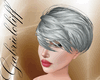 Platinum Hair