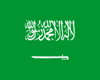 Saudi Bundle