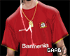 Bayer L 20-21 | Casa