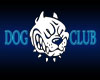 dog club animated