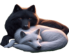 Wolves Cuddling Decal