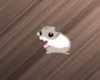 Mouse Animated