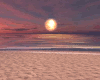 Tropical Aurora Sunset