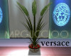 versace Exotic Plant