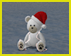 Di* Christmas Bear