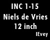 Niels de Vries - 12 Inch