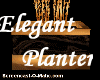 Elegant Planter