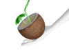 D. Coconut Drink