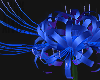 x. Spider Lily v4