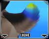 xL; Chance Tail 6