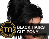 SIB - Black Cut Pony