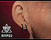 ⚓ Earrings | Asteri