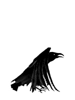 Black Raven Left