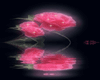 pink flower