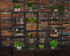 Modern Plants Shelf