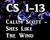 Calum Scott - Shes Like