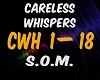 Careless-S3B4