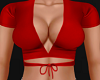 H/Red Satin Top (M)