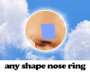 ✰ drv nose ring L