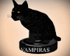 Black Cat on Vacuum