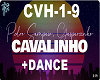 CAVALINHO + DANCE
