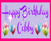 Cobby's Birthday Banner