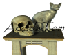AT'S Skull and Cat